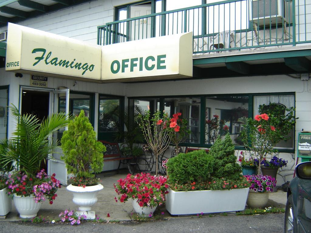 Flamingo Motel Penticton Exterior foto