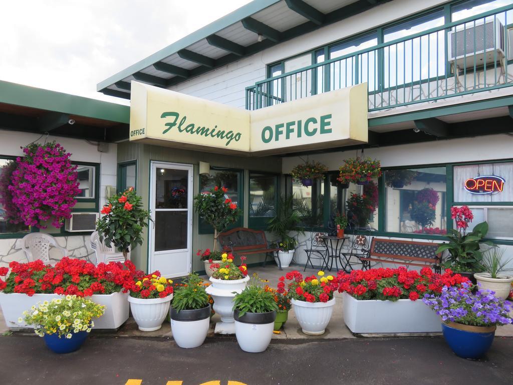 Flamingo Motel Penticton Exterior foto